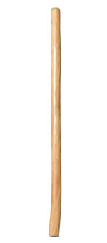 Medium Size Natural Finish Didgeridoo (TW1369)